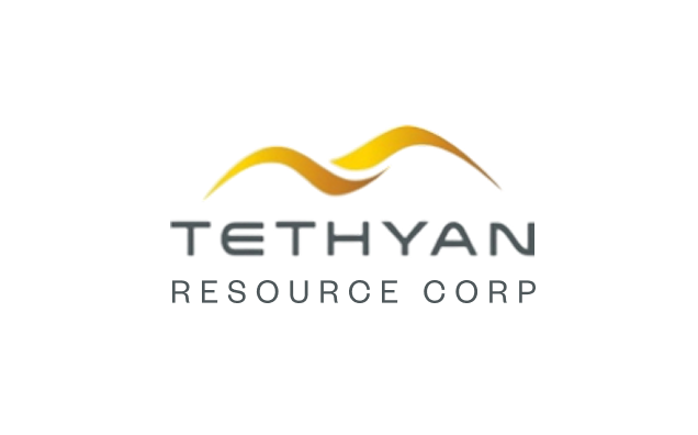 Track Record - DPM Metals - Tethyan Resource Corp